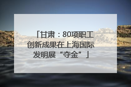 甘肃：80项职工创新成果在上海国际发明展“夺金”