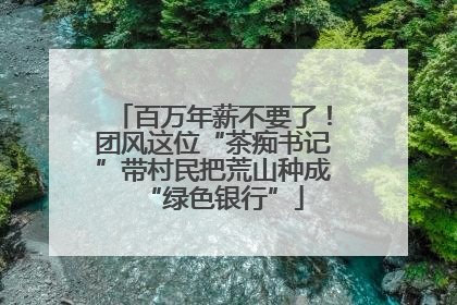 百万年薪不要了！团风这位“茶痴书记”带村民把荒山种成“绿色银行”