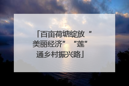 百亩荷塘绽放“美丽经济”“莲”通乡村振兴路