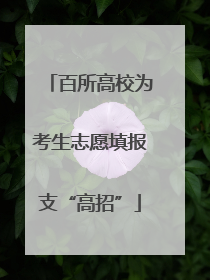 百所高校为考生志愿填报支“高招”