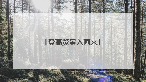 登高览景入画来