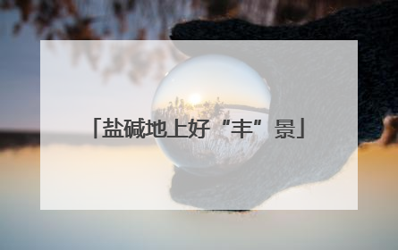 盐碱地上好“丰”景