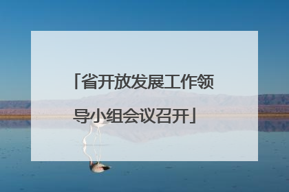 省开放发展工作领导小组会议召开