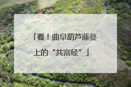 看！曲阜葫芦藤蔓上的“共富经”