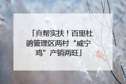 真帮实扶！百里杜鹃管理区两村“威宁鸡”产销两旺