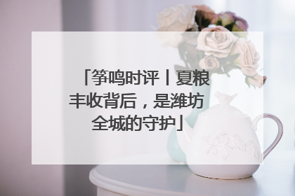 筝鸣时评丨夏粮丰收背后，是潍坊全城的守护