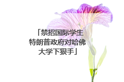禁招国际学生 特朗普政府对哈佛大学下狠手