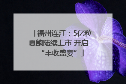 福州连江：5亿粒夏鲍陆续上市 开启“丰收盛宴”