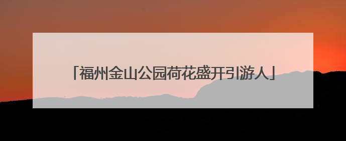 福州金山公园荷花盛开引游人