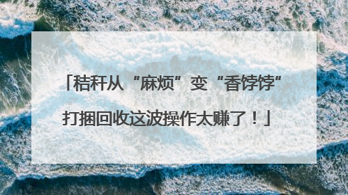 秸秆从“麻烦”变“香饽饽” 打捆回收这波操作太赚了！