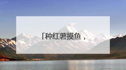 种红薯摸鱼，镇江这家学校在田间池畔见证学生快乐成长