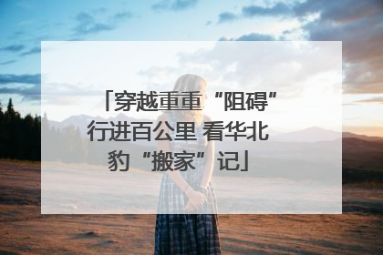 穿越重重“阻碍”行进百公里 看华北豹“搬家”记