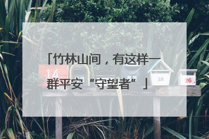 竹林山间，有这样一群平安“守望者”