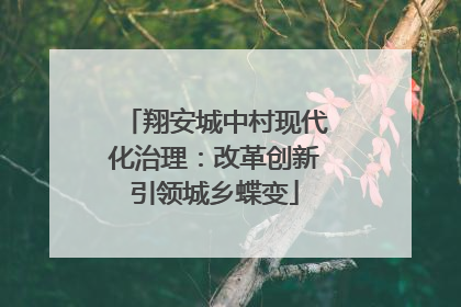 翔安城中村现代化治理：改革创新引领城乡蝶变