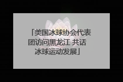 美国冰球协会代表团访问黑龙江 共话冰球运动发展