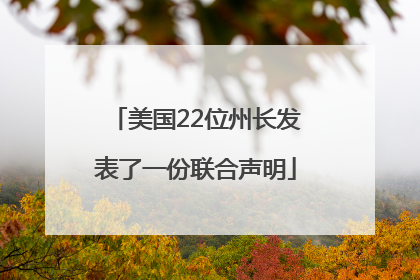 美国22位州长发表了一份联合声明