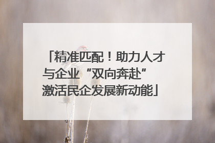 精准匹配！助力人才与企业“双向奔赴” 激活民企发展新动能
