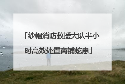 纱帽消防救援大队半小时高效处置商铺蛇患