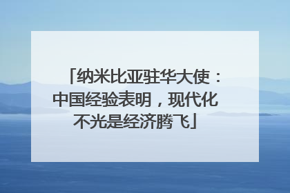 纳米比亚驻华大使：中国经验表明，现代化不光是经济腾飞