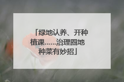 绿地认养、开种植课……治理圈地种菜有妙招