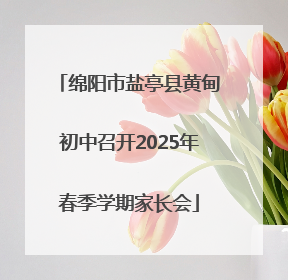 绵阳市盐亭县黄甸初中召开2025年春季学期家长会