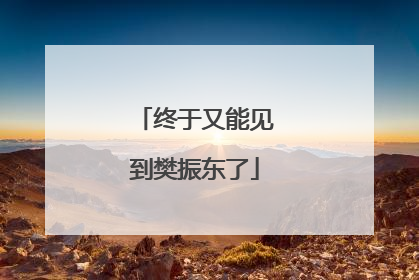 终于又能见到樊振东了