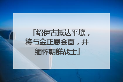绍伊古抵达平壤，将与金正恩会面，并缅怀朝鲜战士
