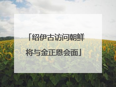绍伊古访问朝鲜 将与金正恩会面
