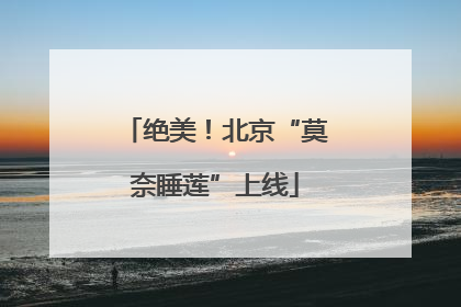绝美！北京“莫奈睡莲”上线