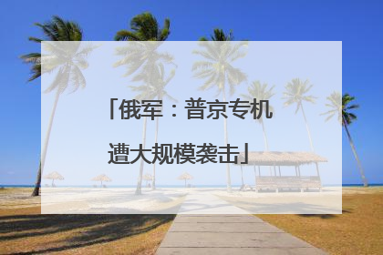 俄军：普京专机遭大规模袭击
