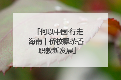 何以中国·行走海南｜侨校飘茶香 职教新发展