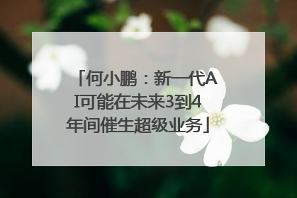 何小鹏：新一代AI可能在未来3到4年间催生超级业务