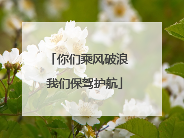 你们乘风破浪 我们保驾护航