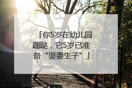 你5岁在幼儿园蹦跶，它5岁已准备“娶妻生子”