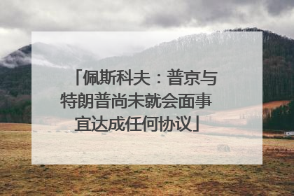 佩斯科夫：普京与特朗普尚未就会面事宜达成任何协议
