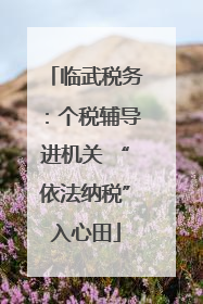 临武税务：个税辅导进机关 “依法纳税”入心田