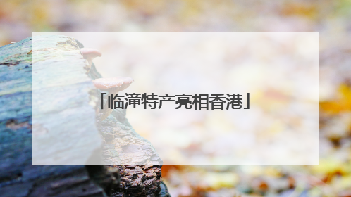 临潼特产亮相香港
