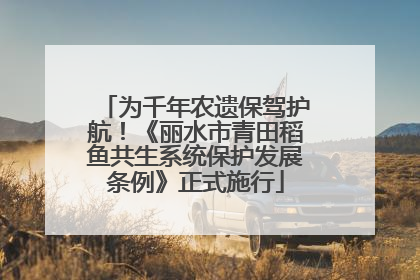 为千年农遗保驾护航！《丽水市青田稻鱼共生系统保护发展条例》正式施行