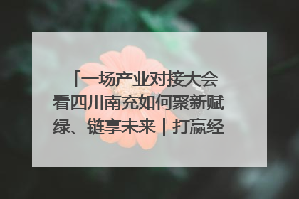 一场产业对接大会 看四川南充如何聚新赋绿、链享未来｜打赢经济发展翻身仗