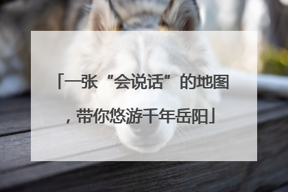 一张“会说话”的地图，带你悠游千年岳阳
