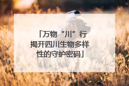 万物“川”行 揭开四川生物多样性的守护密码