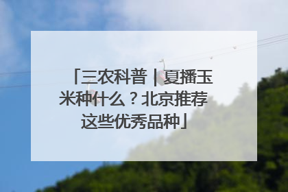 三农科普｜夏播玉米种什么？北京推荐这些优秀品种