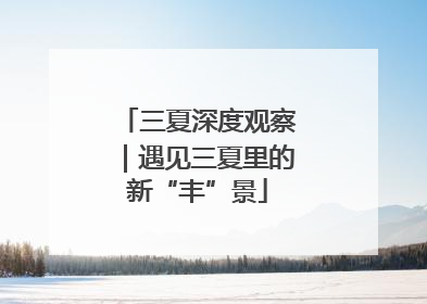 三夏深度观察｜遇见三夏里的新“丰”景