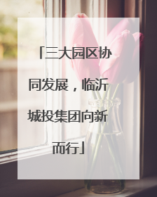三大园区协同发展，临沂城投集团向新而行