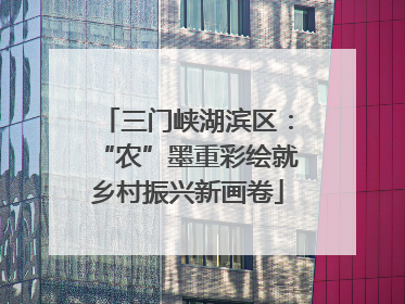 三门峡湖滨区：“农”墨重彩绘就乡村振兴新画卷