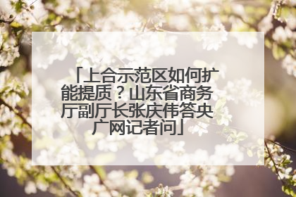 上合示范区如何扩能提质？山东省商务厅副厅长张庆伟答央广网记者问