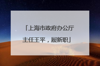 上海市政府办公厅主任王平，履新职