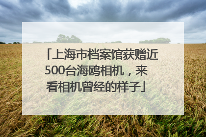 上海市档案馆获赠近500台海鸥相机，来看相机曾经的样子