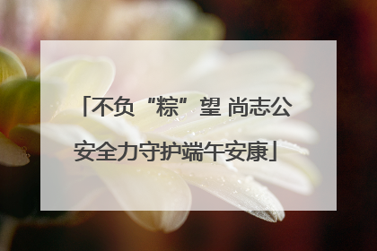 不负“粽”望 尚志公安全力守护端午安康
