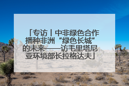 专访丨中非绿色合作播种非洲“绿色长城”的未来——访毛里塔尼亚环境部长拉格达夫